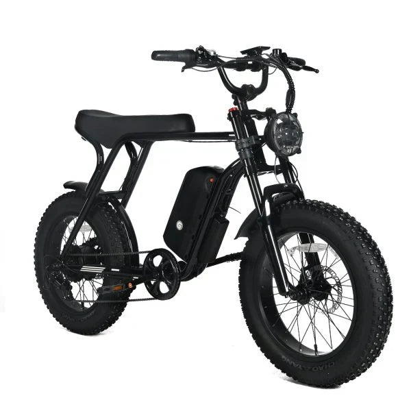Electric Mountain Bike for Adults | 20 x 4.0 Fat Tires, 1000W Motor, 48V 20Ah Removable Battery, Max Speed 45MPH, Shi Mano 7-Speed for Off-Road Adventures P2228