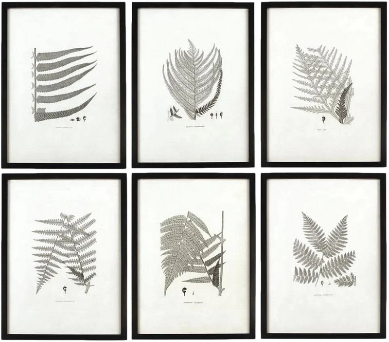 MY SWANKY HOME Modern Set of 6 Black White Fern Prints Botanical Framed Monochrome 29 in F8776