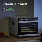 COSORI Food Dehydrator for Jerky, Large Drying Space with 6.48ft虏, 600W Dehydrated Dryer