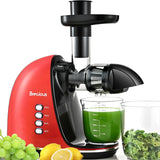 Slow Masticating Juicer,Brecious Cold Press Juicers with 2 Speed Modes & Quiet Motor,Juicers Machines Vegetable and Fruit with Reverse Function,Celery Juicer,BPA-Free,Easy to Clean (Black)