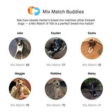 Embark Dog DNA Test, Breed Identification Kit