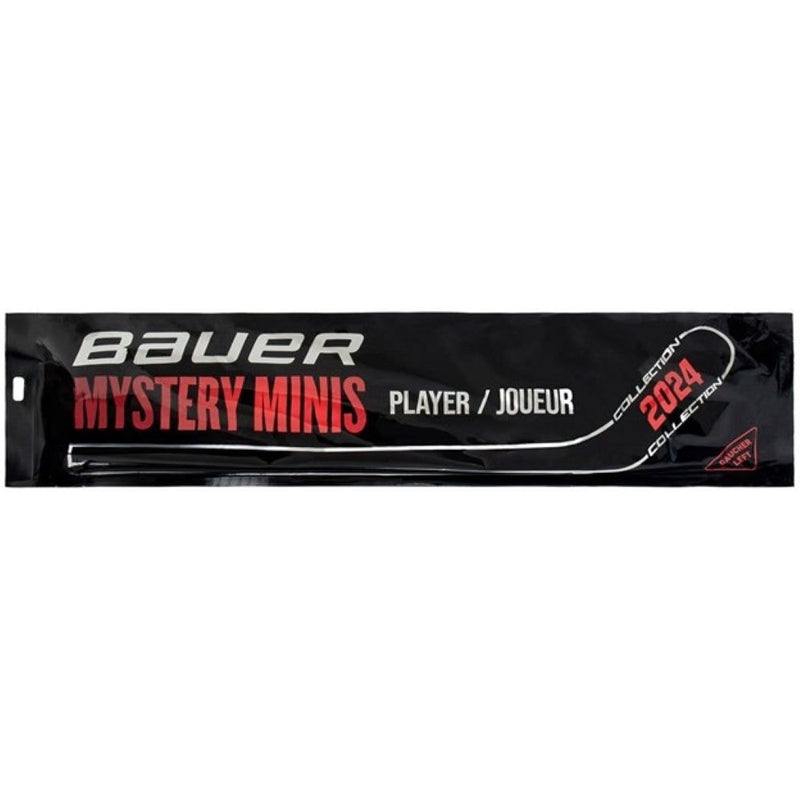 Mystery Mini Hockey Stick, Assorted Designs, 18-in F8637