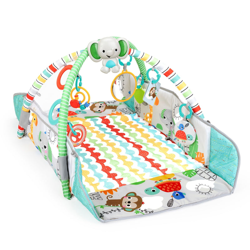 5-in-1 Your Way Ball Play Gym J2344