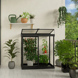 by Ivy 4 ft. x 2 ft. Mini Greenhouse Kit