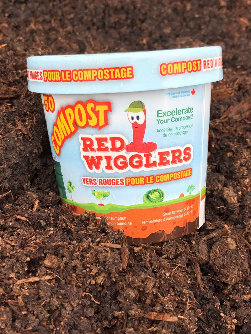 Compost Red Wiggler Live Composting Worms, 50 Count P5687