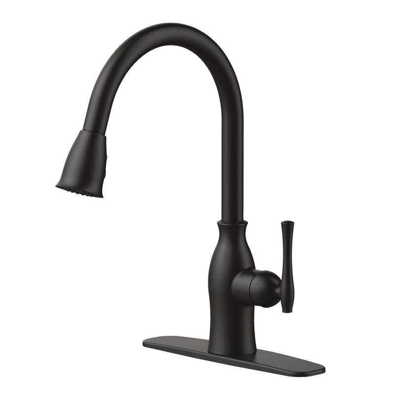 Lisa 1-Handle Pull-Down Kitchen Faucet, Matte Black P6154