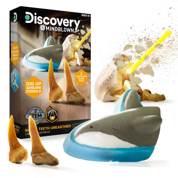 Mini Unearthed Shark Teeth Excavation Kit/Educational Toy for Ages 6+, 2-pc L1280