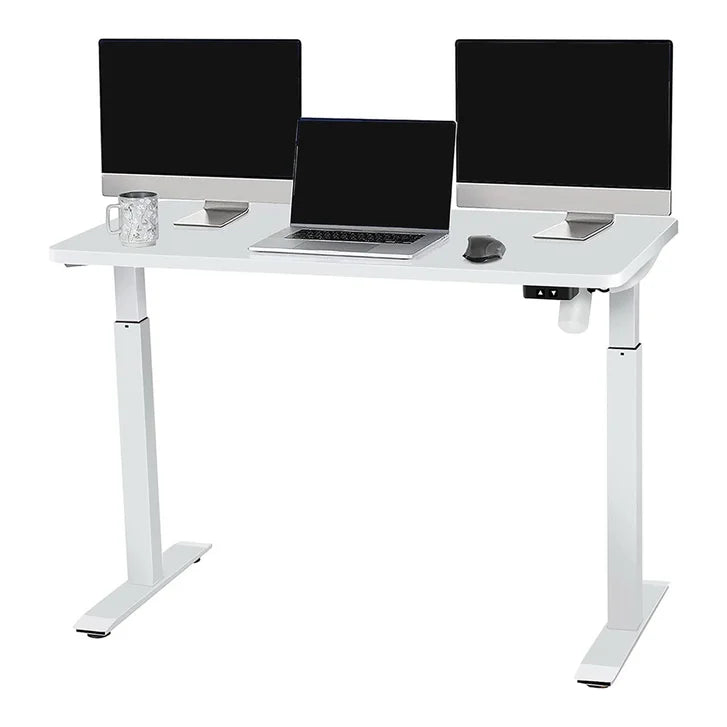 Motionwise 121.9 cm x 61 cm (48 in. x 24 in.) Single Motor Height Adjustable Desk A0170