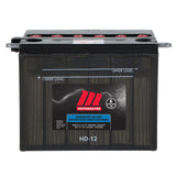 Group Size 25 Battery, 550 CCA
