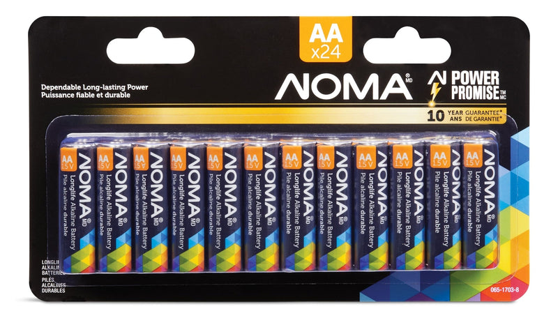 AA Alkaline Batteries, Long Lasting, All Purpose, 24-pk G0834