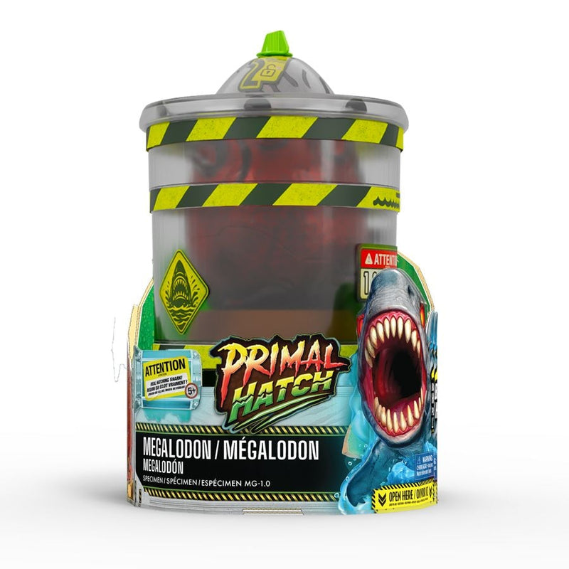 Megalodon Shark I4505
