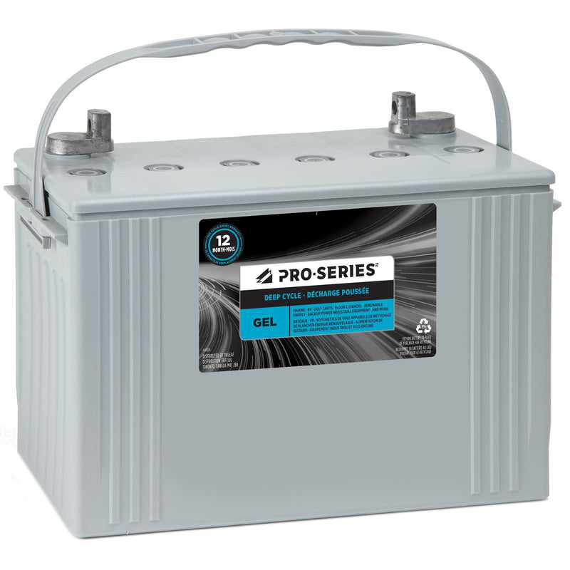 Commercial Group Size 3EH 6-Volt Battery R6443