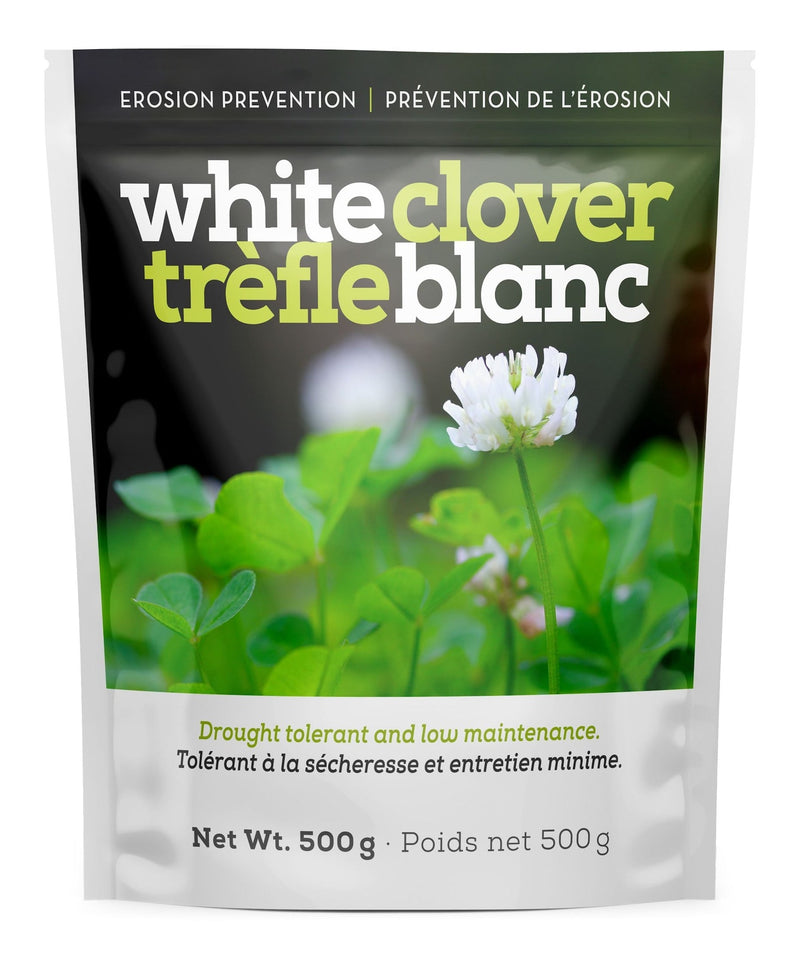 White Clover Erosion Control Grass Seed 500g P4312