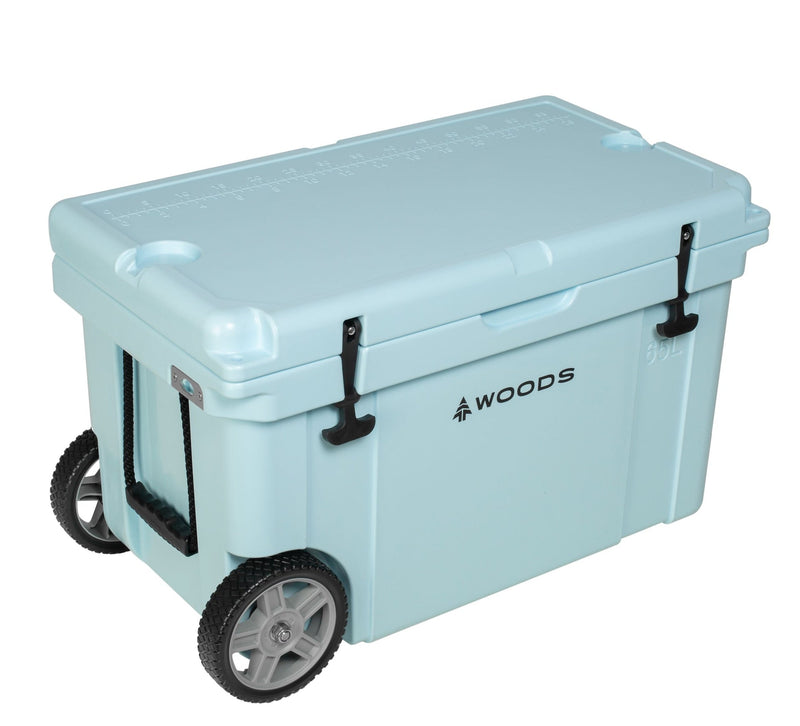 ARCTIC Wheeled Roto-Moulded Cooler with Handle, 65-L, Light Blue T1824